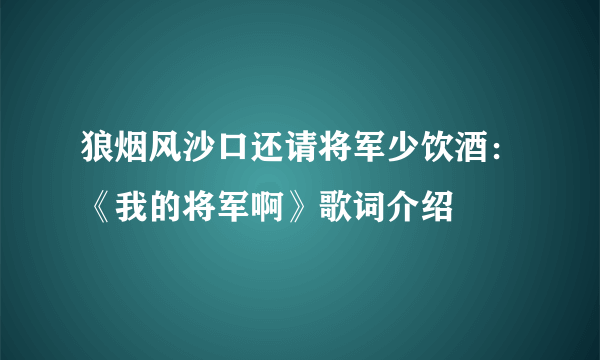 狼烟风沙口还请将军少饮酒：《我的将军啊》歌词介绍