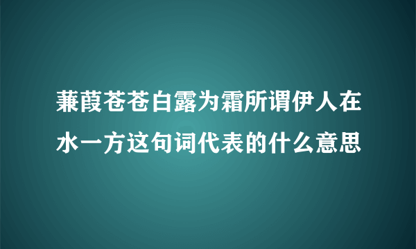 蒹葭苍苍白露为霜所谓伊人在水一方这句词代表的什么意思