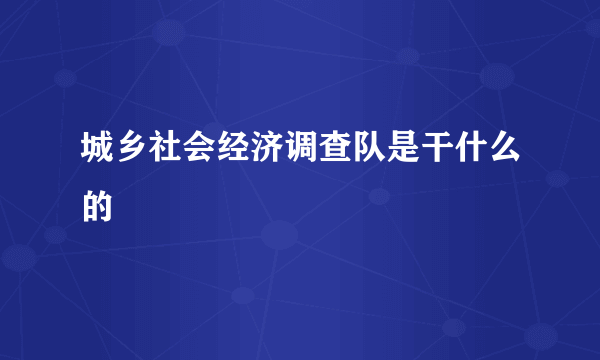 城乡社会经济调查队是干什么的