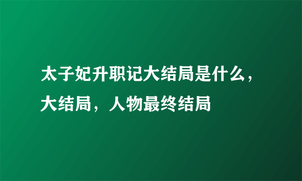 太子妃升职记大结局是什么，大结局，人物最终结局