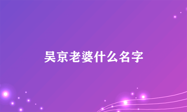 吴京老婆什么名字