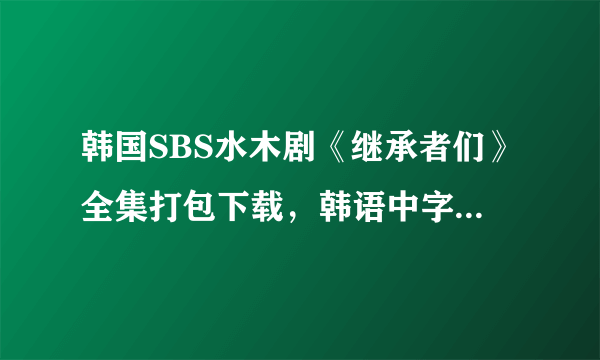 韩国SBS水木剧《继承者们》全集打包下载，韩语中字，MP4格式