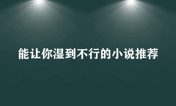 能让你湿到不行的小说推荐