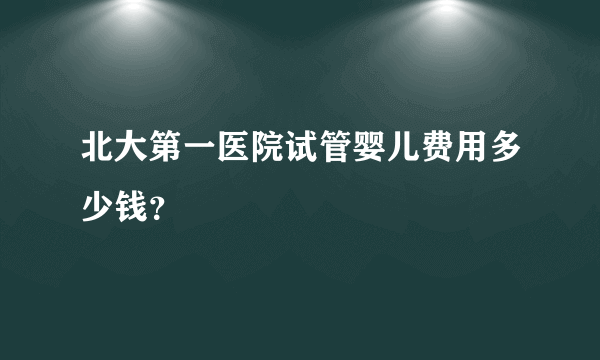 北大第一医院试管婴儿费用多少钱？