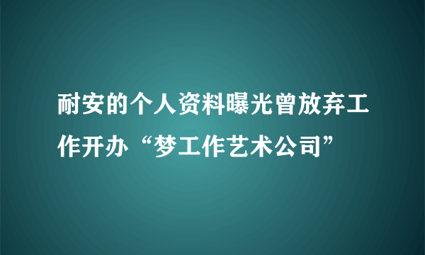 耐安的个人资料曝光曾放弃工作开办“梦工作艺术公司”