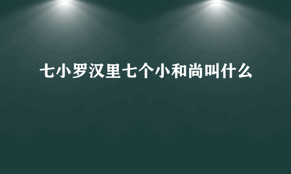 七小罗汉里七个小和尚叫什么