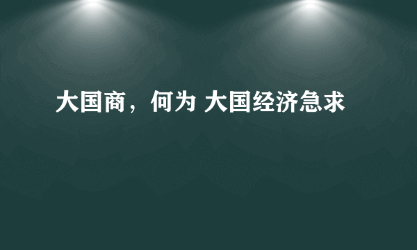 大国商，何为 大国经济急求