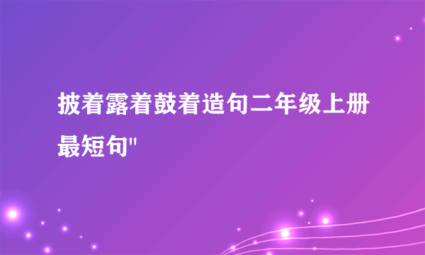 披着露着鼓着造句二年级上册最短句