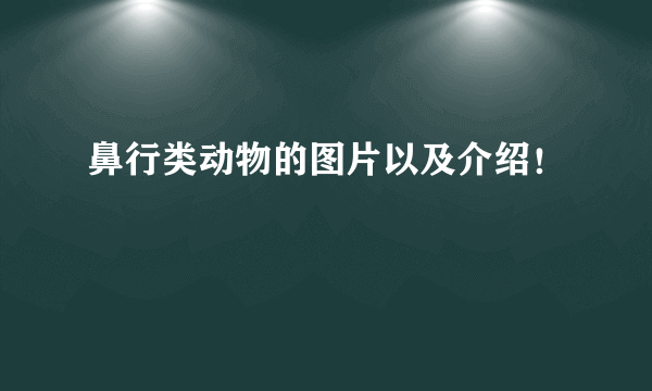 鼻行类动物的图片以及介绍！