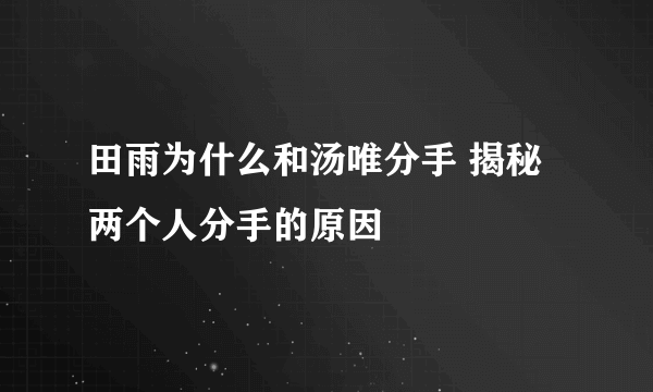 田雨为什么和汤唯分手 揭秘两个人分手的原因