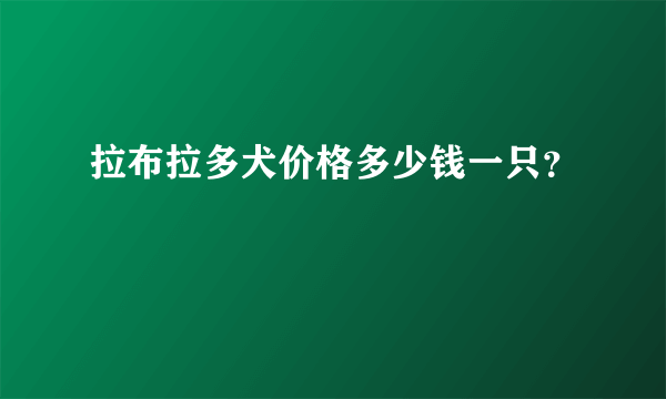 拉布拉多犬价格多少钱一只？