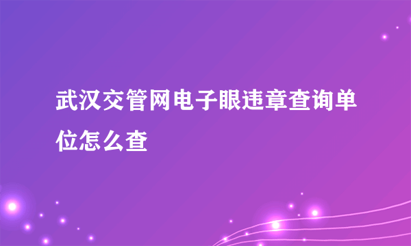 武汉交管网电子眼违章查询单位怎么查