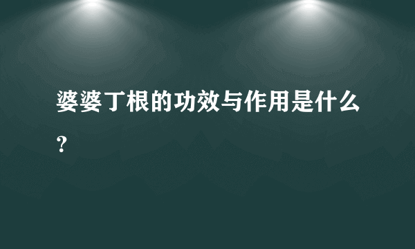 婆婆丁根的功效与作用是什么？