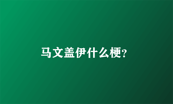 马文盖伊什么梗？