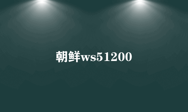 朝鲜ws51200