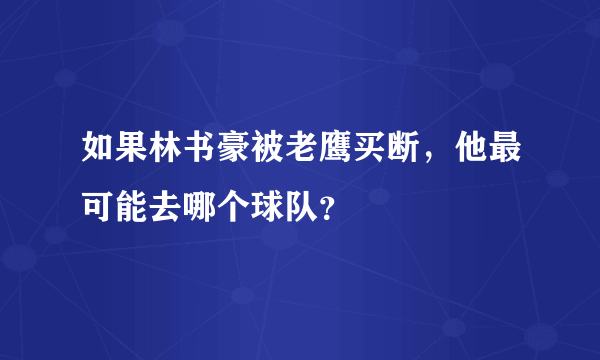 如果林书豪被老鹰买断，他最可能去哪个球队？