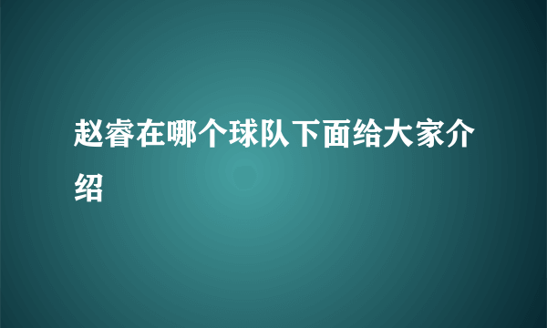 赵睿在哪个球队下面给大家介绍