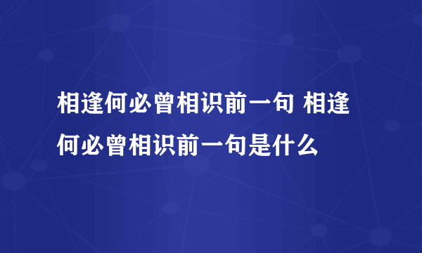 相逢何必曾相识前一句 相逢何必曾相识前一句是什么