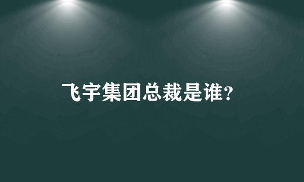 飞宇集团总裁是谁？