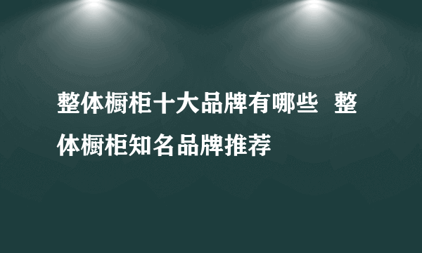 整体橱柜十大品牌有哪些  整体橱柜知名品牌推荐