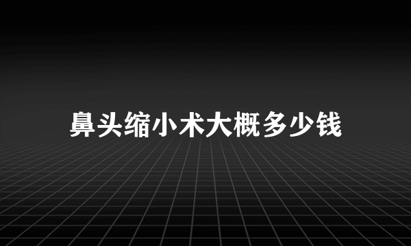 鼻头缩小术大概多少钱