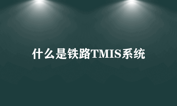 什么是铁路TMIS系统