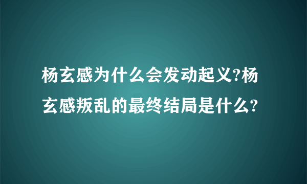 杨玄感为什么会发动起义?杨玄感叛乱的最终结局是什么?