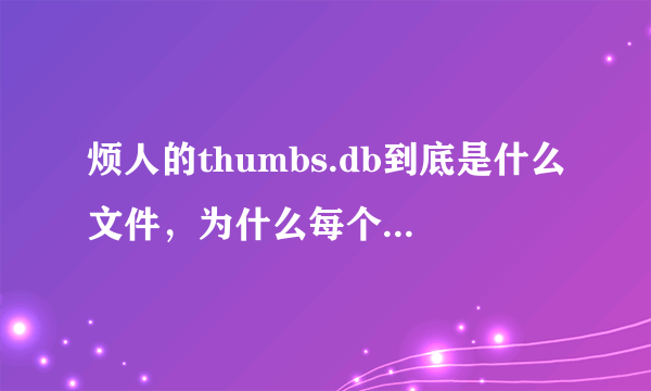 烦人的thumbs.db到底是什么文件，为什么每个文件夹里都有，而且删了它又会自动生成。