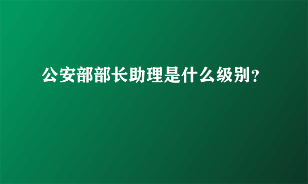 公安部部长助理是什么级别？