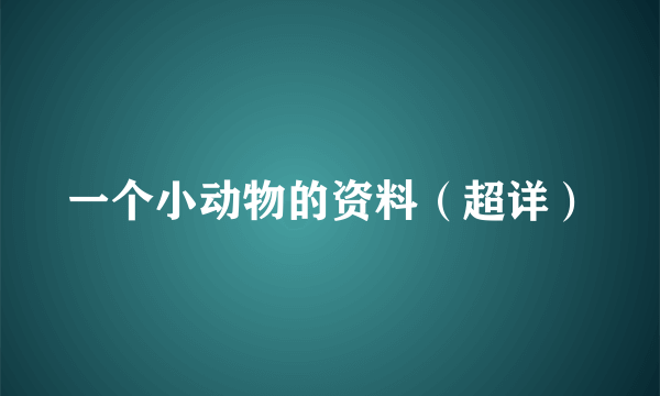 一个小动物的资料（超详）