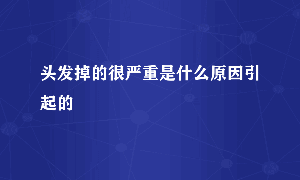 头发掉的很严重是什么原因引起的