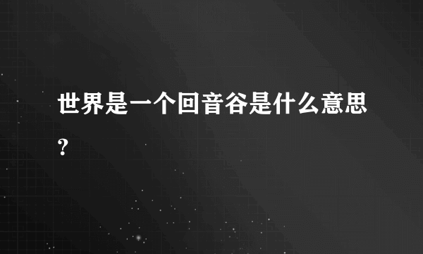 世界是一个回音谷是什么意思？