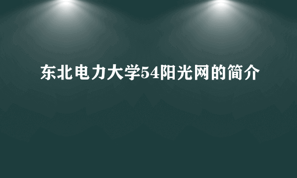 东北电力大学54阳光网的简介