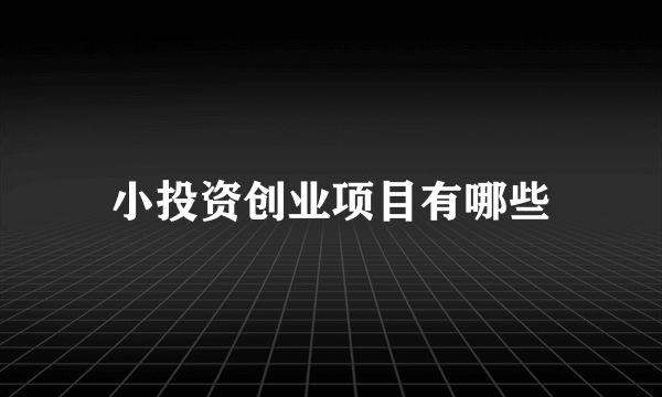 小投资创业项目有哪些