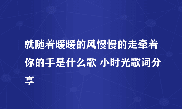 就随着暖暖的风慢慢的走牵着你的手是什么歌 小时光歌词分享