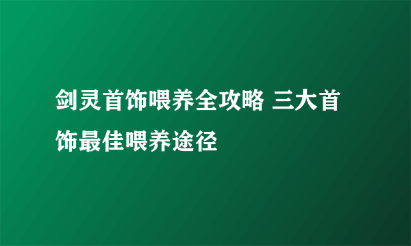 剑灵首饰喂养全攻略 三大首饰最佳喂养途径