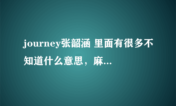 journey张韶涵 里面有很多不知道什么意思，麻烦哪个高手翻译一下谢谢