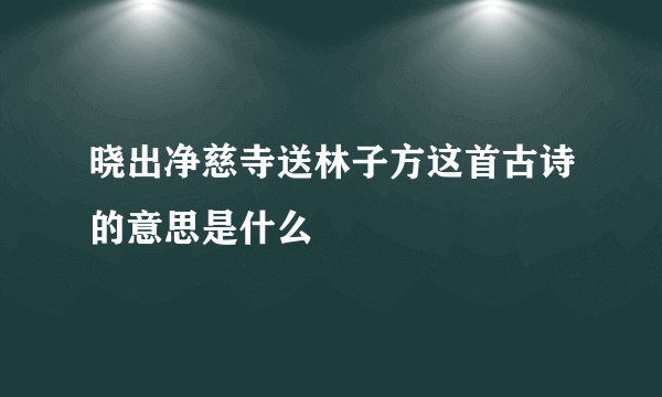 晓出净慈寺送林子方这首古诗的意思是什么