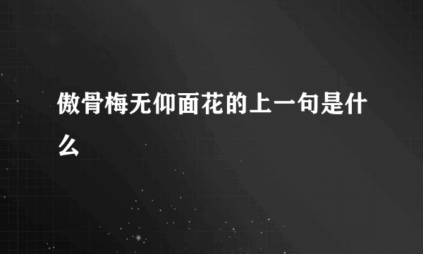 傲骨梅无仰面花的上一句是什么