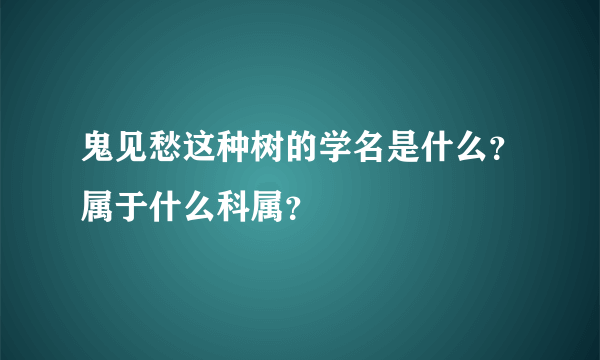 鬼见愁这种树的学名是什么？属于什么科属？