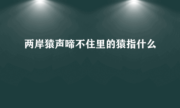 两岸猿声啼不住里的猿指什么