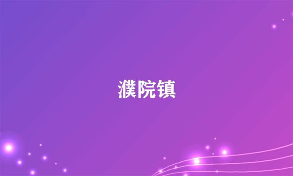 濮院镇