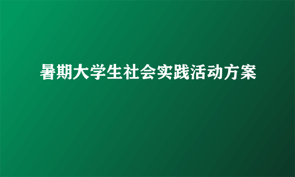 暑期大学生社会实践活动方案