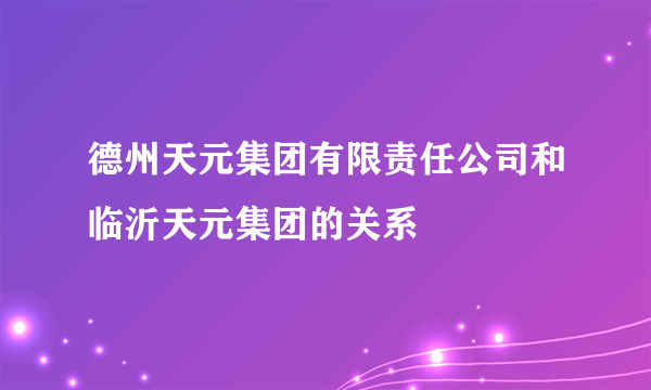 德州天元集团有限责任公司和临沂天元集团的关系