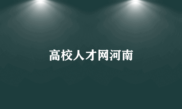 高校人才网河南