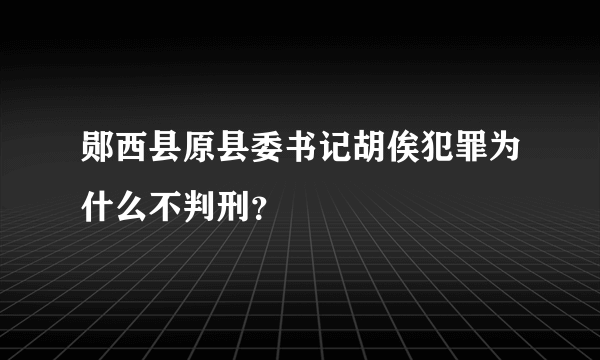 郧西县原县委书记胡俟犯罪为什么不判刑？