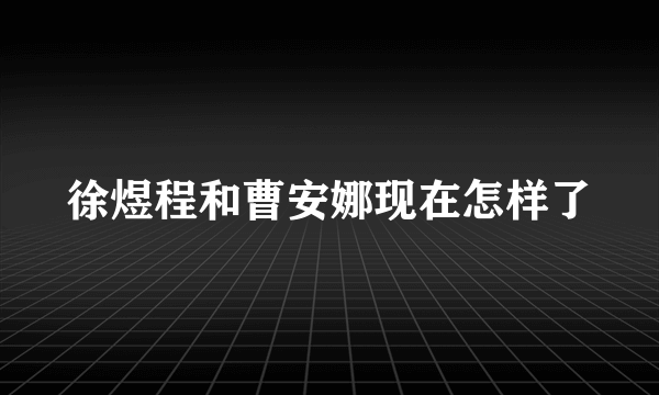 徐煜程和曹安娜现在怎样了