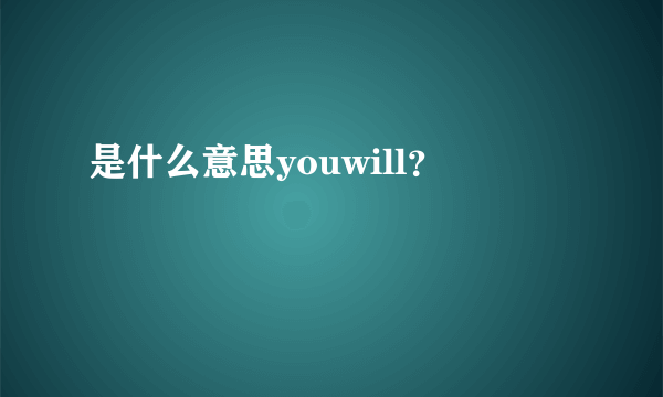 是什么意思youwill？