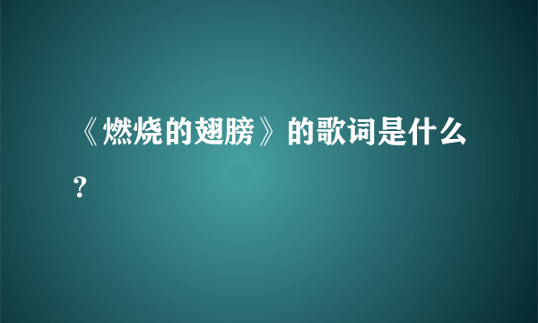 《燃烧的翅膀》的歌词是什么？