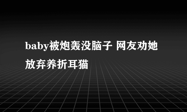 baby被炮轰没脑子 网友劝她放弃养折耳猫